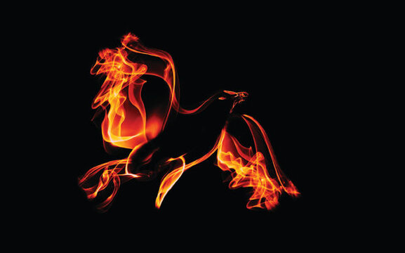 phoenix-620.jpg phoenix-620.jpg