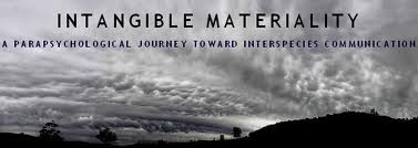 untitled.png untitled.png