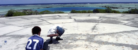 cactus_dome_main.png cactus_dome_main.png