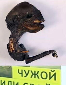 New Russian Alien Corpse.jpg