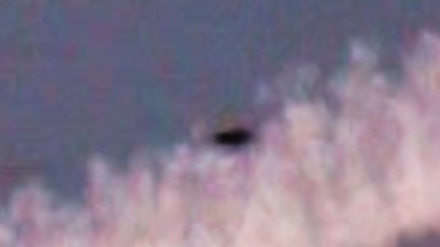 IMG_2828.PNG IMG_2828.PNG