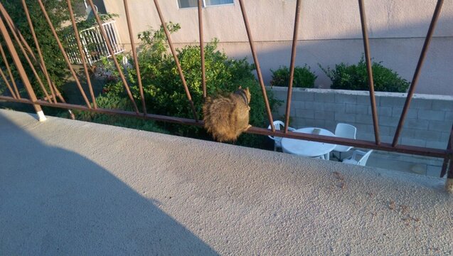 IMAG1726.jpg IMAG1726.jpg