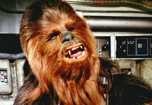 Chewbacca-starwars.jpg
