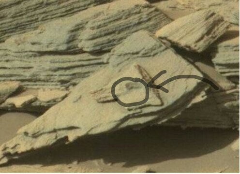 rps20161221_044016.jpg rps20161221_044016.jpg