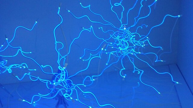 20160814_151604.jpg 20160814_151604.jpg