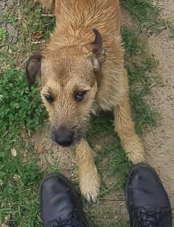 2017-05-24-08-24-40-1.jpg 2017-05-24-08-24-40-1.jpg