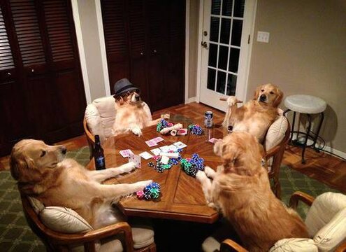 a.baa-Dogs-playing-poker.jpg