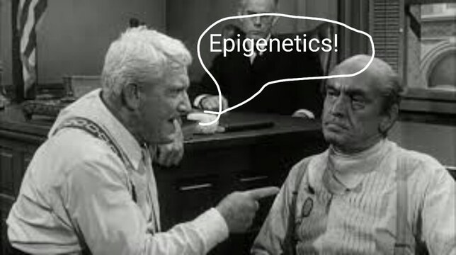 epigenetics.jpg