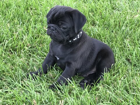 IMG_4901.jpg IMG_4901.jpg