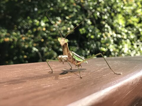 upload_2018-6-20_9-15-40.jpeg upload_2018-6-20_9-15-40.jpeg