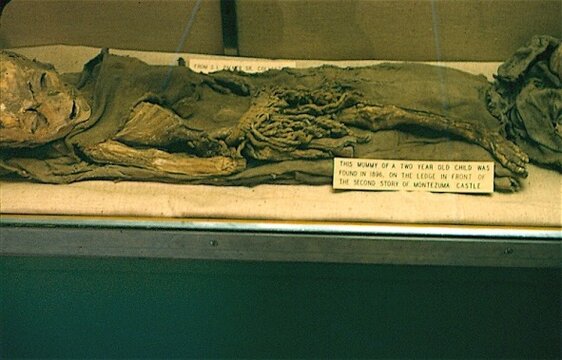 Kindermumie.jpg Kindermumie.jpg