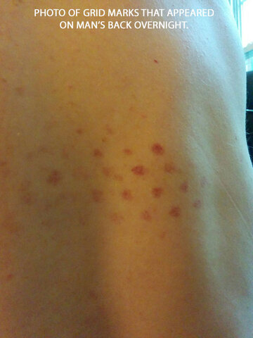 grid-marks-photo-edite.jpg grid-marks-photo-edite.jpg