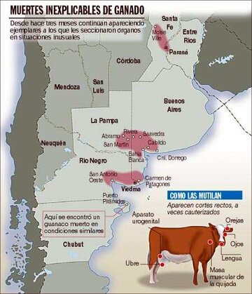 Argentina_cattle_map.jpg