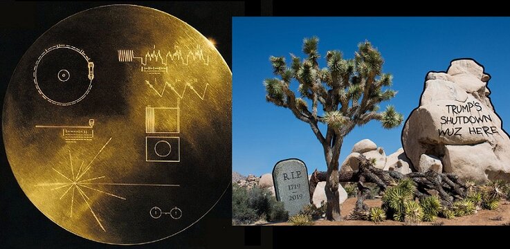 pioneer plaque joshua tree.jpg