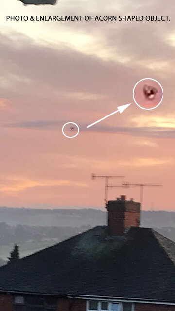 photo-of-acorn-object-optimized.jpg photo-of-acorn-object-optimized.jpg