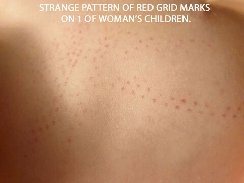 red-grid-marks.jpg