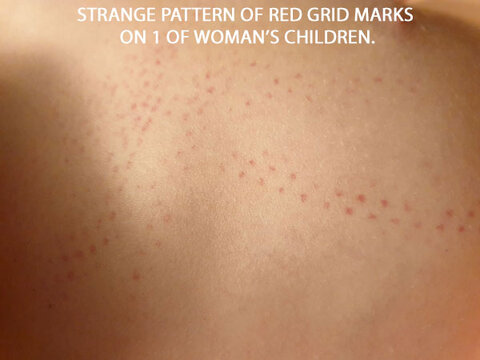 red-grid-marks.jpg red-grid-marks.jpg