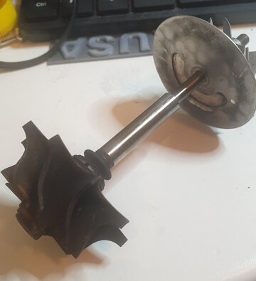 20210310_052347.jpg 20210310_052347.jpg