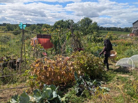 1000010517.jpg 1000010517.jpg