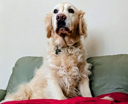 1000013057.jpg 1000013057.jpg