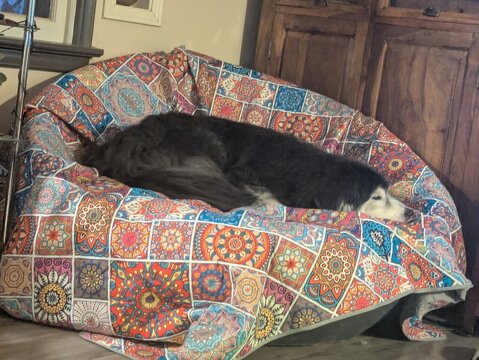 1000013061.jpg 1000013061.jpg