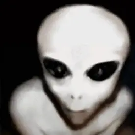 1000014477.webp 1000014477.webp