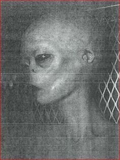 1000014479.jpg 1000014479.jpg