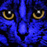 bluecat