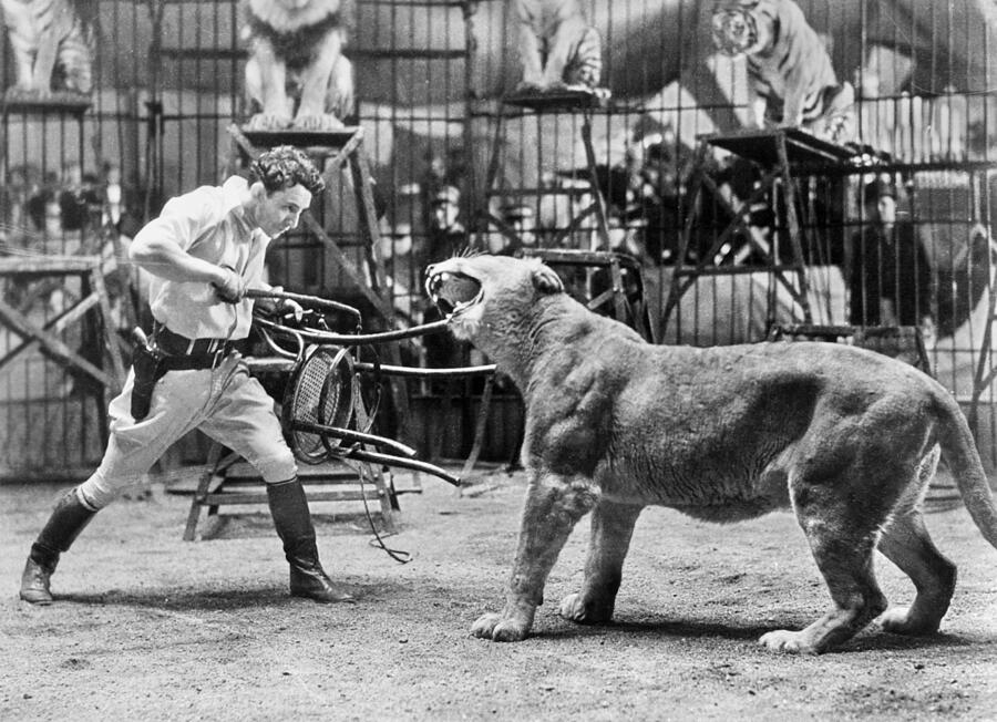 2-lion-tamer-1930s-granger.jpg