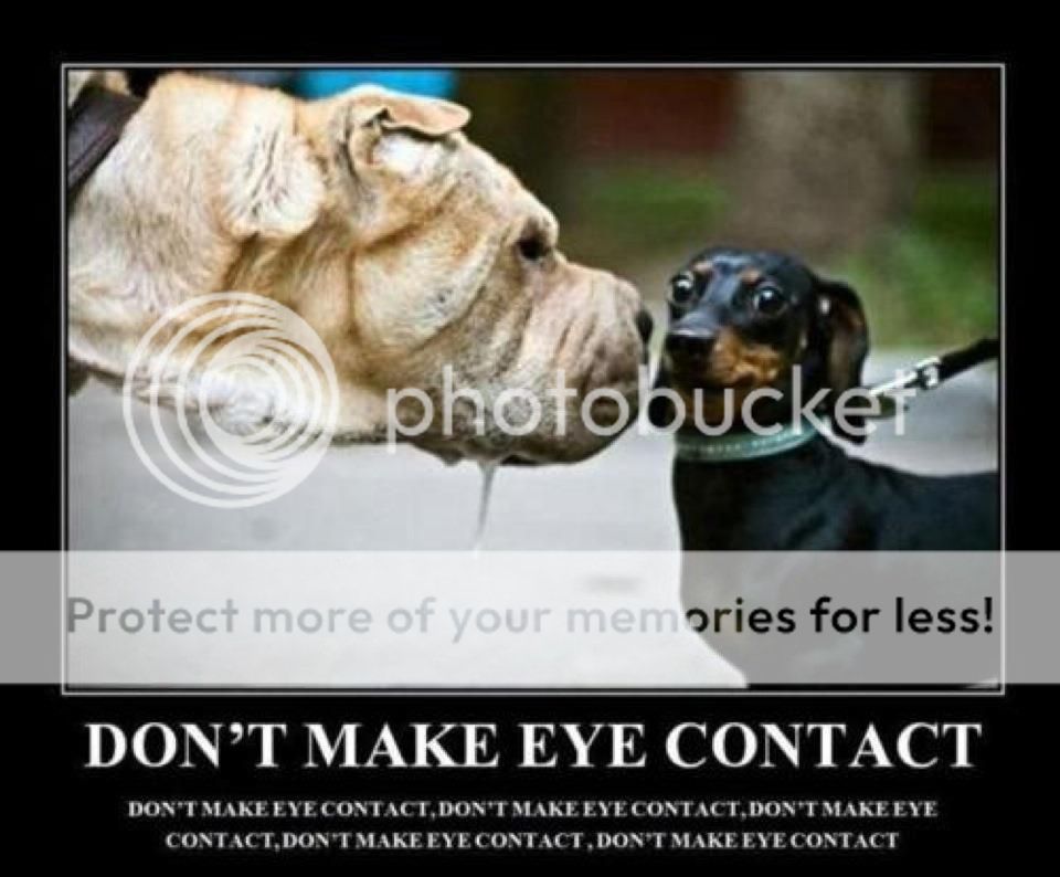 noeyecontact_zpsa8b3248c.jpg