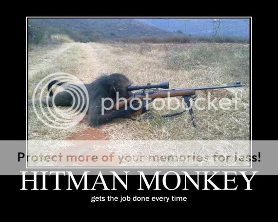 hitman-monkey19_zps217e54f2.jpg