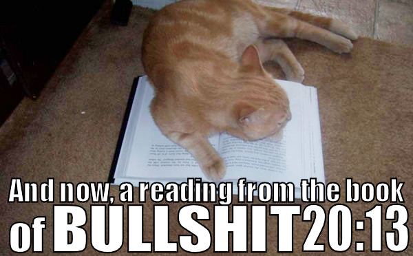 bible_book_bullshit_cat.jpg