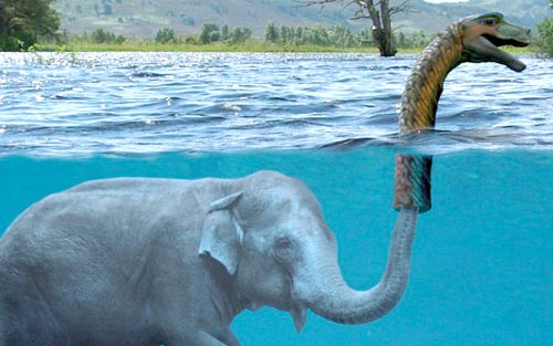 loch-elephant.jpg