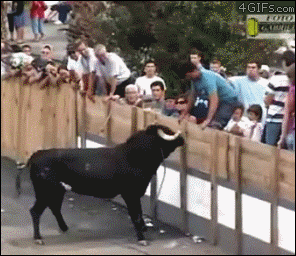 Taunting-bull-fail_zps299c7031.gif