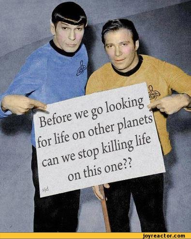 funny-pictures-auto-star-trek-life-389290.jpeg