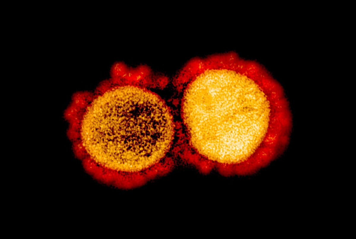 globalbiodefense.com