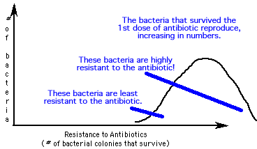 bactresistance2.gif